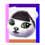 zip a dee do pekoe.jpg