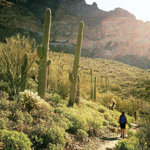 arizona-trail-m.jpg