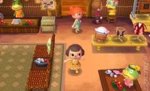 228px--Animal-Crossing-New-Leaf-3DS-_(3).jpg