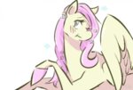 tumblr_n9l772UptV1s53tvyo1_400.jpg