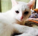 ^4D366C4DC5564D48B1EC6D73CEE7C50601CFF1AE49B856B3D7^pimgpsh_fullsize_distr.jpg ^4D366C4DC5564D48B1EC6D73CEE7C50601CFF1AE49B856B3D7^pimgpsh_fullsize_distr.jpg