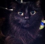 ^D1301F0A983BBA6E10A5AB5FA7543DCEE7877D1268106A21E8^pimgpsh_fullsize_distr.jpg ^D1301F0A983BBA6E10A5AB5FA7543DCEE7877D1268106A21E8^pimgpsh_fullsize_distr.jpg