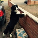 924089_1392676441044113_1705503744_n.jpg 924089_1392676441044113_1705503744_n.jpg