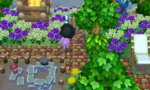 HNI_0050_JPG.JPG
