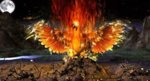 phoenix.jpg