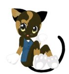 calico kitty.jpg