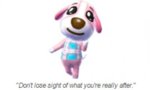Cookie.jpg