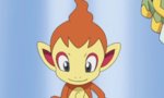 tumblr_mjoewor3PQ1r7guhqo1_500.jpg