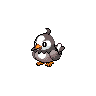starly.png starly.png