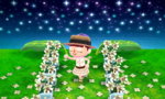 Daisy Meadow.jpg
