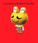 Cousteaus bundle.jpg Cousteaus bundle.jpg
