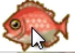 Pic 4 Justin.JPG