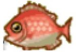 Pic 4 Justin.JPG