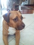 2012-04-08 15.47.48.jpg