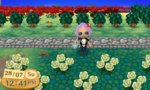 28.7.13 Missing bushes.jpg