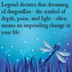 dragonflydream.jpg