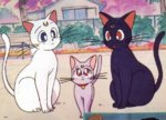 Bishoujo.Senshi.Sailor.Moon.600.33547.jpg