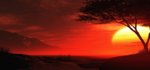 Sunset.jpg