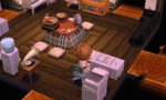 HNI_0050.JPG