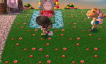 HNI_0006.JPG