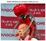 tomato.jpg
