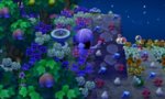prrububbles.jpg