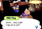 acnlfey.jpg
