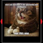 funny-photos-130516-1.jpg funny-photos-130516-1.jpg