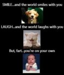 81fdeab824eeac7ec70a306d77b401f7.jpg 81fdeab824eeac7ec70a306d77b401f7.jpg