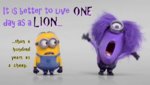 minion.jpg