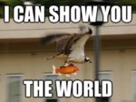 funny-animal-memes-10.jpg