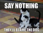 Say-nothing.jpg