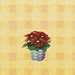 poinsettia.jpg