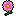 cosmos-pink.gif cosmos-pink.gif
