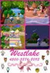 acnlwestlakedc.jpg