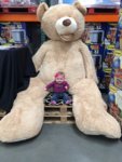 costco bear.jpg