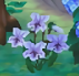 cnsjkenc.png