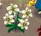 cnsjkenc1.png