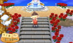 20160108-ACNL3.JPG