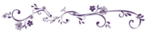 Flower_Border (1).png