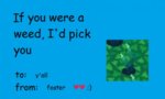 tumblr_nj1q6iOlCl1sjfff5o1_540.jpg