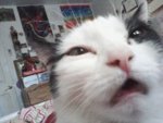 tumblr_inline_n296rcewiM1qgdjix.jpg