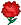 red_carnation.png