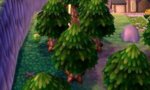 Hiding in the forest.jpg