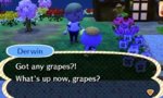 got any grapes.jpg