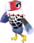 Amelia.jpg