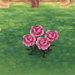 pink-rose.jpg