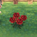 red-rose.jpg