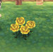 yellow-rose.jpg