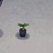 blue-hydrangea-start.jpg